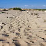 Near Sandy Beaches Nieuwpoort