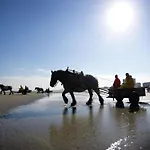 Near Sandy Beaches Nieuwpoort