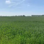 Near Sandy Beaches *