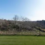 Near Sandy Beaches *