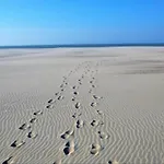Near Sandy Beaches