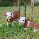 Near Sandy Beaches Lägenhet