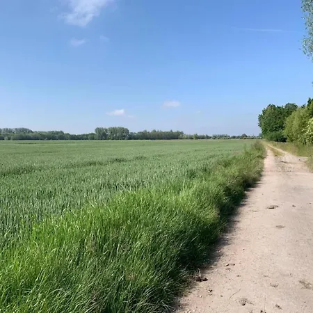 Near Sandy Beaches Апартаменты *