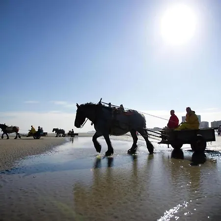 Near Sandy Beaches Ньивпорт