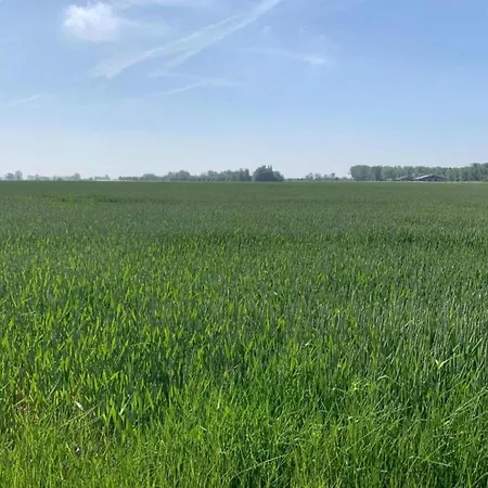 Near Sandy Beaches *