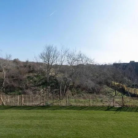 Near Sandy Beaches *