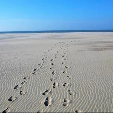Near Sandy Beaches